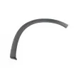 BLIC 5703-08-5022376Q - Baguette et bande protectrice, aile avant droit