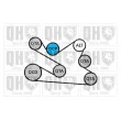 QUINTON HAZELL QDK135 - Jeu de courroies trapézoïdales à nervures
