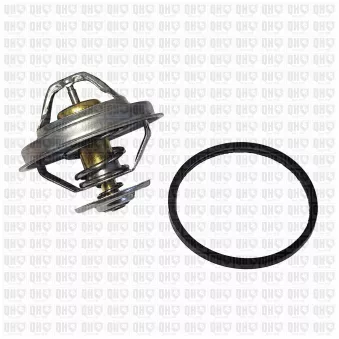 Thermostat d'eau QUINTON HAZELL [QTH488K]