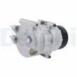DELPHI CS20610 - Compresseur, climatisation