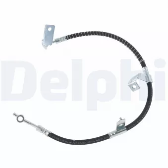 DELPHI LH7925 - Flexible de frein