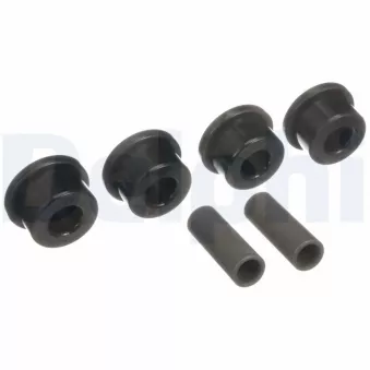 DELPHI TD4106W - Silent bloc de l'essieu / berceau