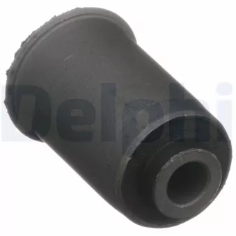 DELPHI TD4204W - Silent bloc de l'essieu / berceau