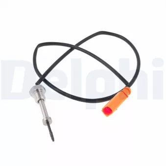 Capteur, température des gaz DELPHI TS30341-12B1