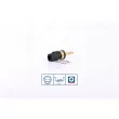 NISSENS 207020 - Sonde de température, liquide de refroidissement