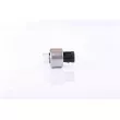 NISSENS 301019 - Pressostat, climatisation