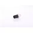 NISSENS 301036 - Pressostat, climatisation