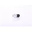 NISSENS 301036 - Pressostat, climatisation