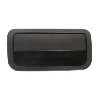 Poignée de coffre BLIC OEM 2H5829505AGRU