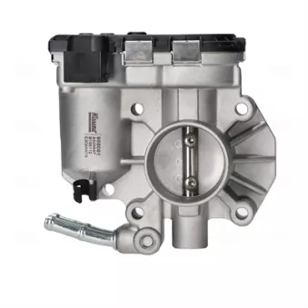 Corps papillon NISSENS OEM 163617