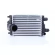 NISSENS 961598 - Intercooler, échangeur