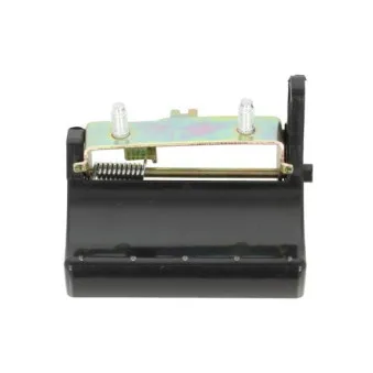 Poignée de coffre arrière gauche BLIC 6010-18-004417P