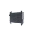 MAHLE AC 984 000S - Condenseur, climatisation