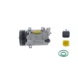 MAHLE ACP 359 000S - Compresseur, climatisation