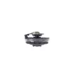 MAHLE CFC 259 000P - Embrayage, ventilateur de radiateur