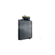 MAHLE CR 1040 000P - Radiateur, refroidissement du moteur