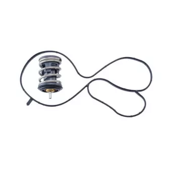 Thermostat, liquide de refroidissement MAHLE TX 489 97D