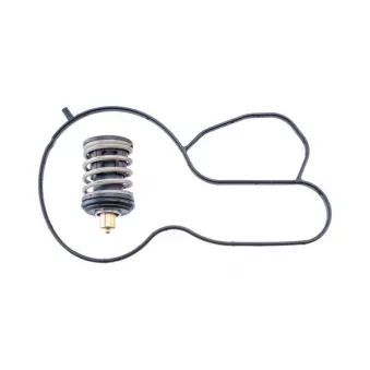 Thermostat, liquide de refroidissement MAHLE OEM 04E121113B