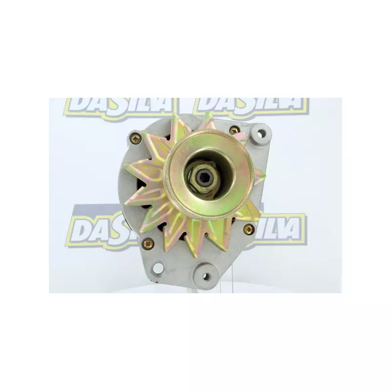 Alternateur DA SILVA 010047 - Visuel 1