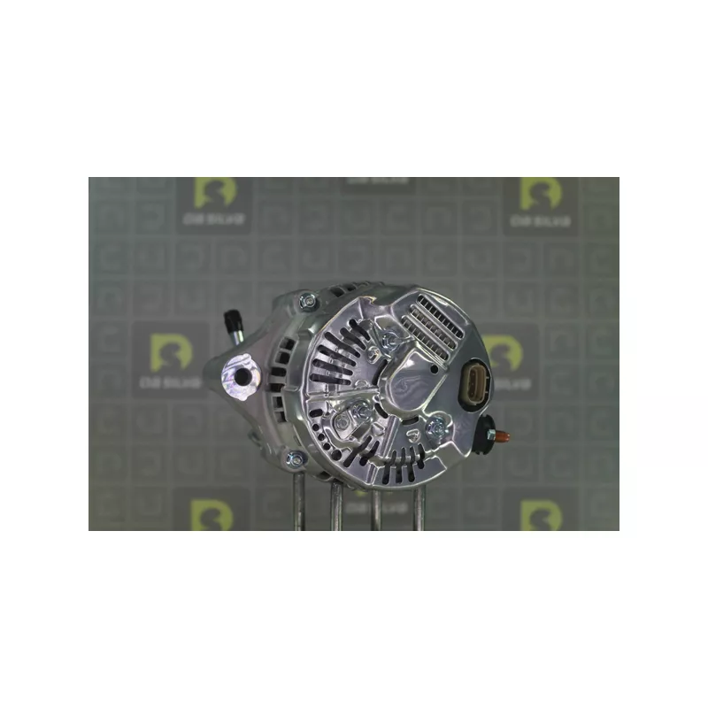 Alternateur DA SILVA 010109 - Visuel 1