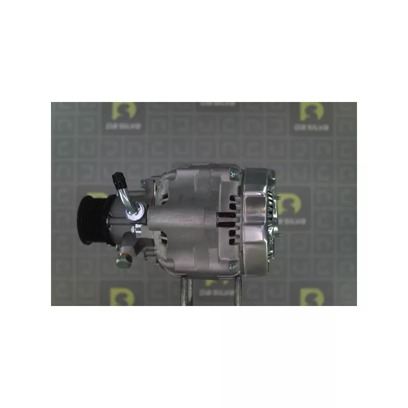 Alternateur DA SILVA 010109 - Visuel 2