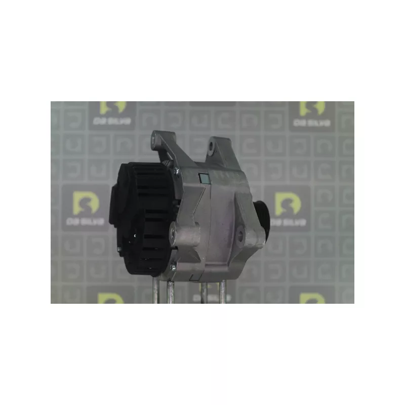 Alternateur DA SILVA 010113 - Visuel 1