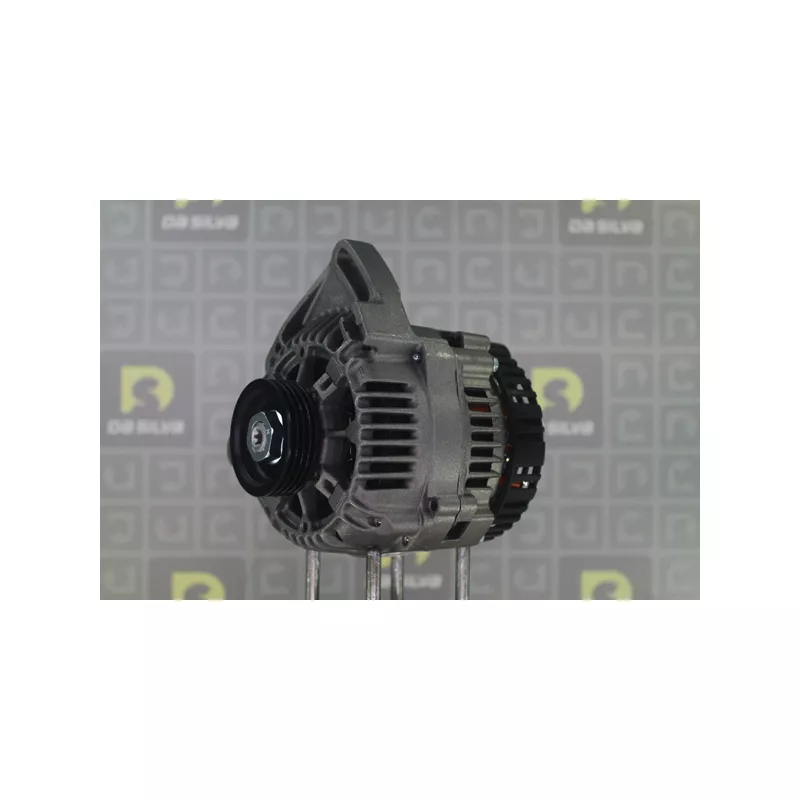 Alternateur DA SILVA 010114 - Visuel 2