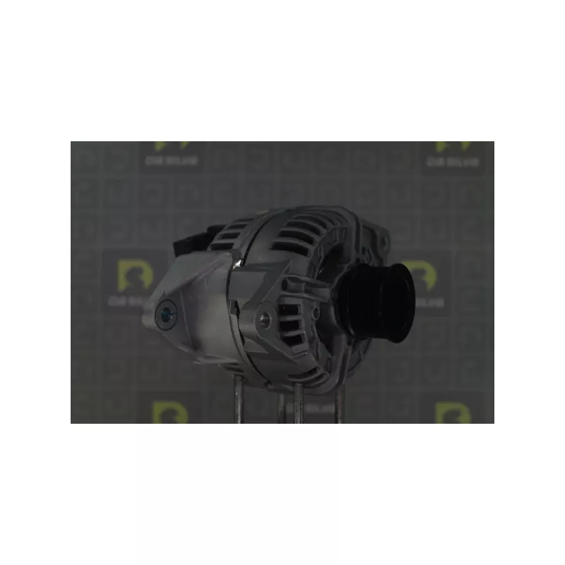 Alternateur DA SILVA 010623 - Visuel 2
