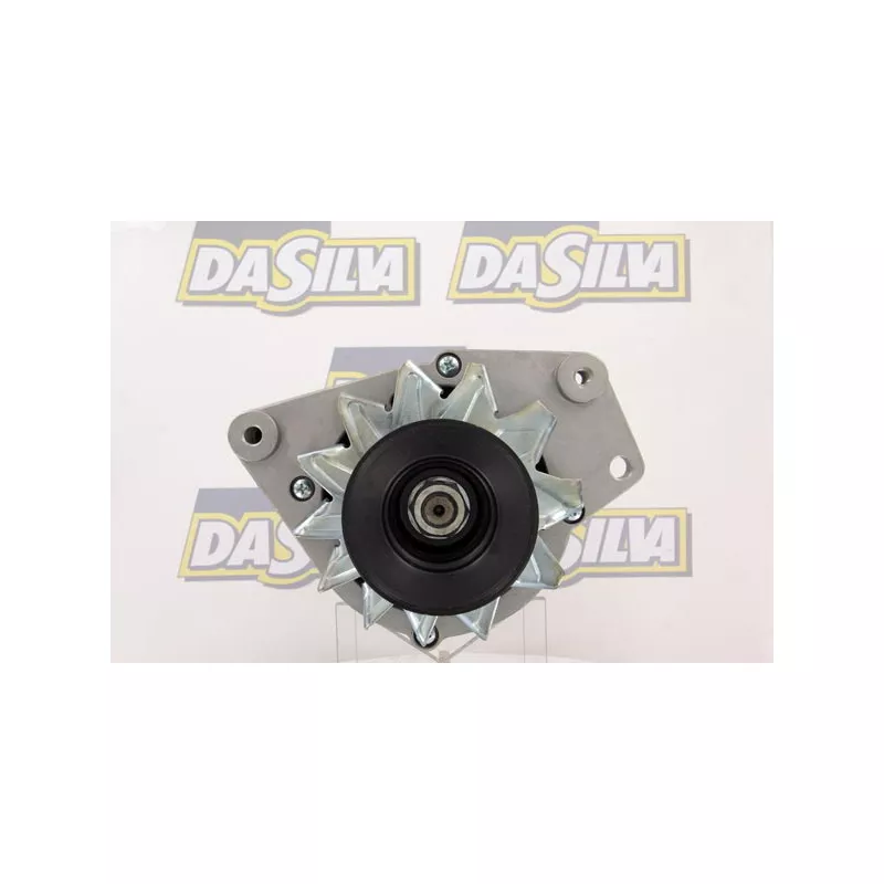 Alternateur DA SILVA 010631 - Visuel 1