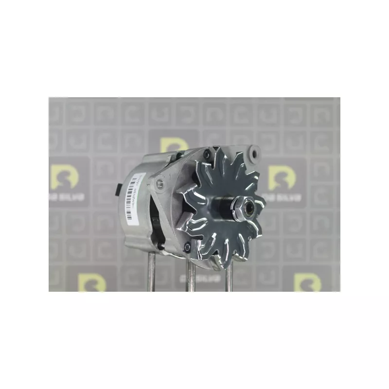 Alternateur DA SILVA 010727 - Visuel 2