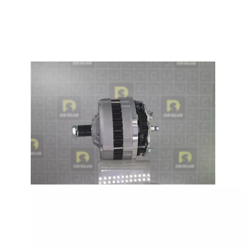Alternateur DA SILVA 010781 - Visuel 2