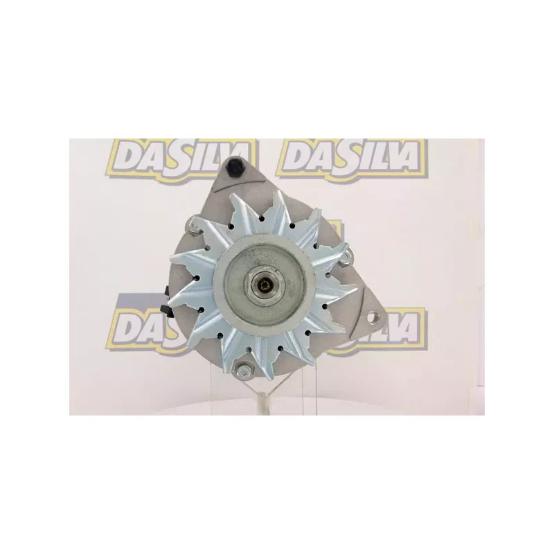 Alternateur DA SILVA 010829 - Visuel 1