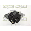 DA SILVA 011272 - Alternateur