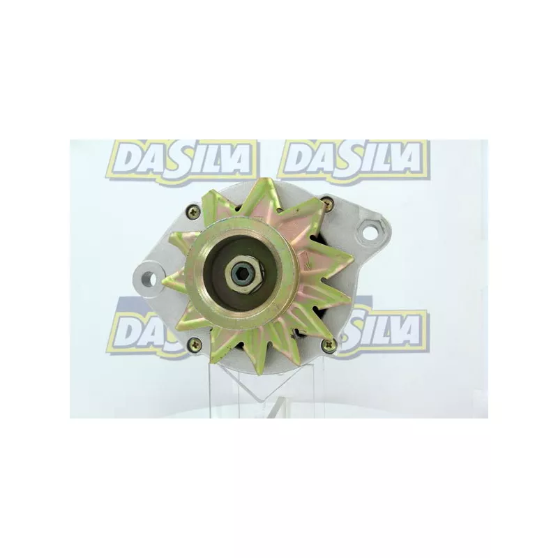 Alternateur DA SILVA 011345 - Visuel 1