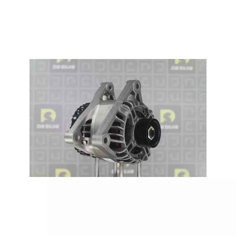 Alternateur DA SILVA 011610 - Visuel 1