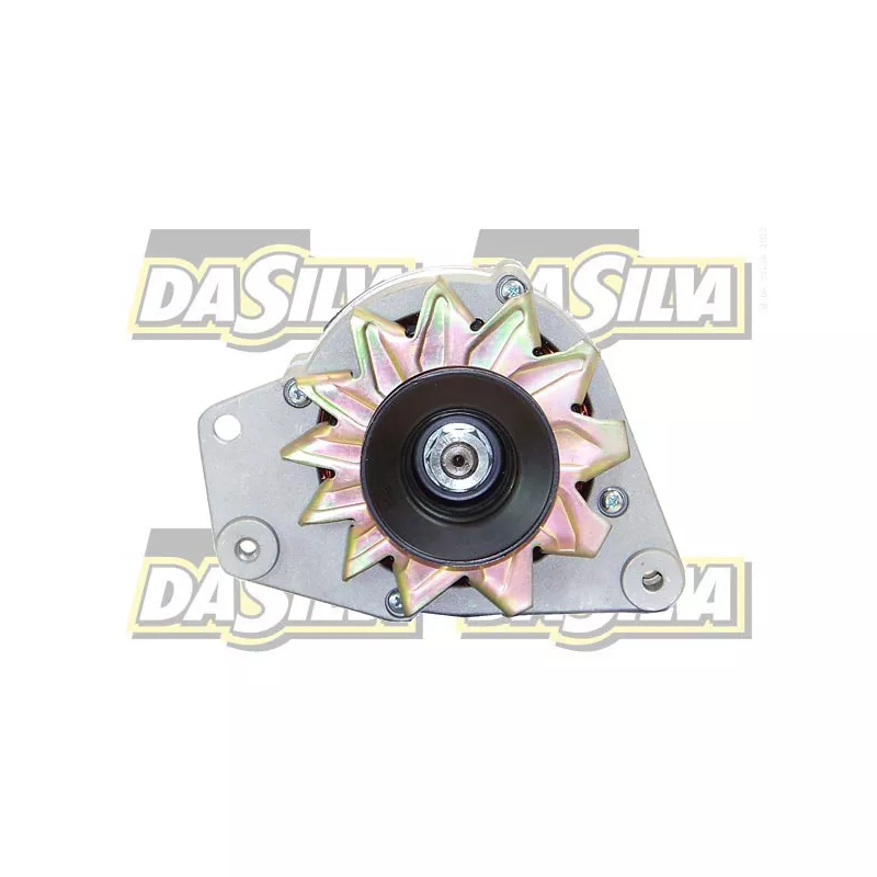 Alternateur DA SILVA 016228 - Visuel 1