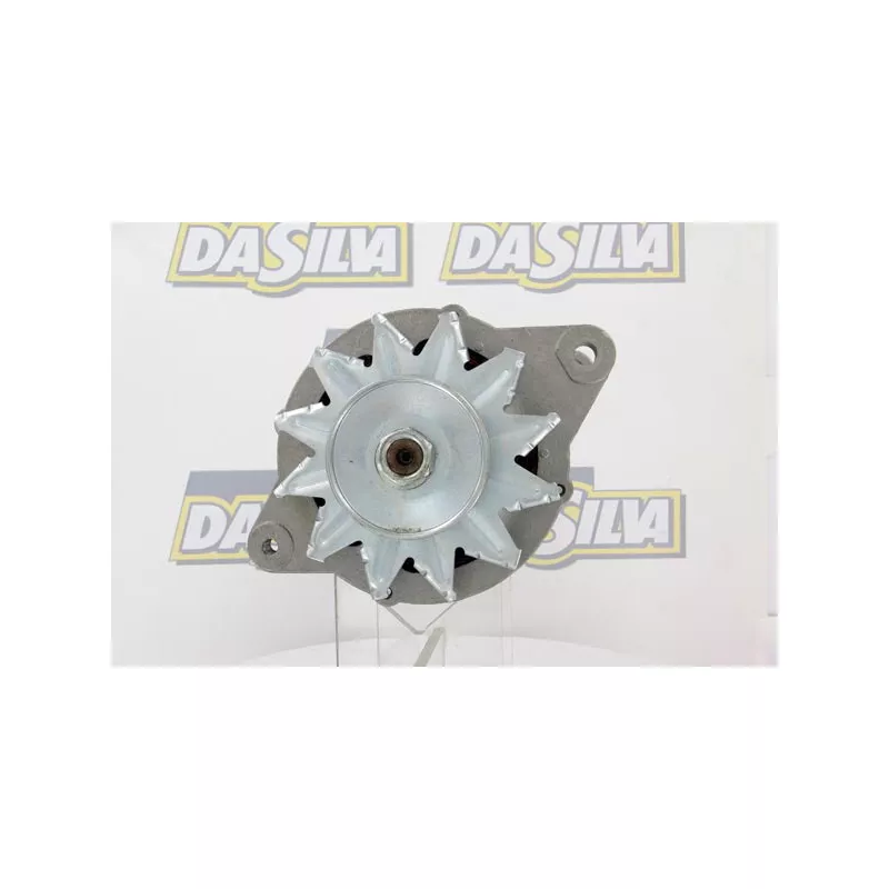 Alternateur DA SILVA 030003 - Visuel 1