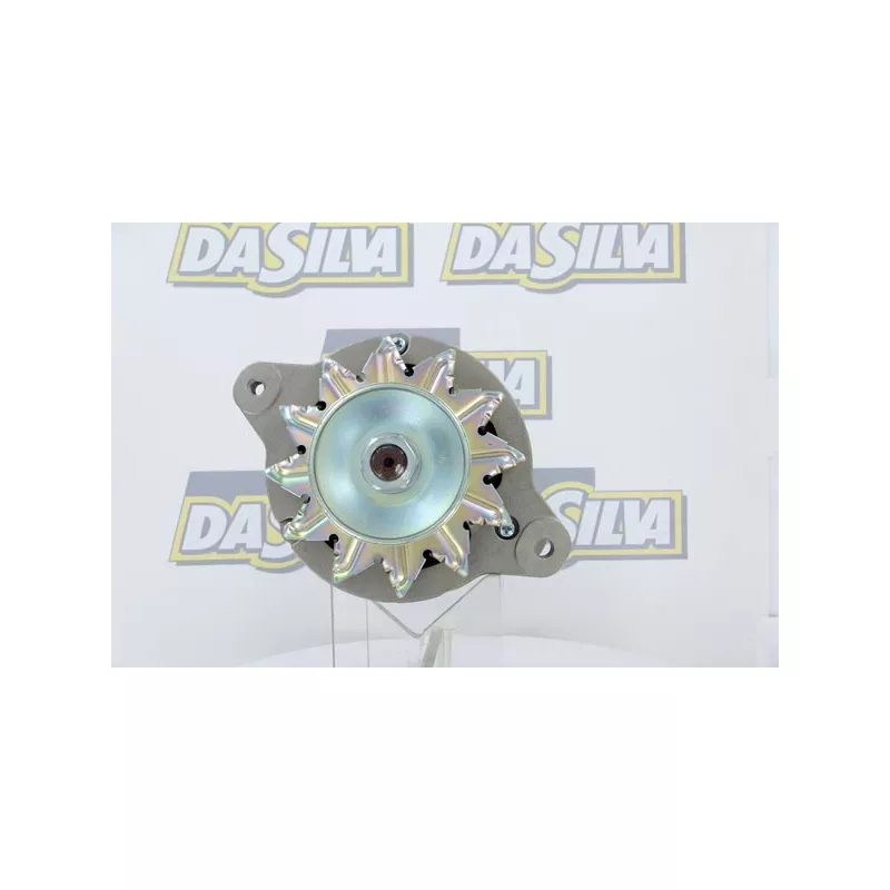 Alternateur DA SILVA 030211 - Visuel 2