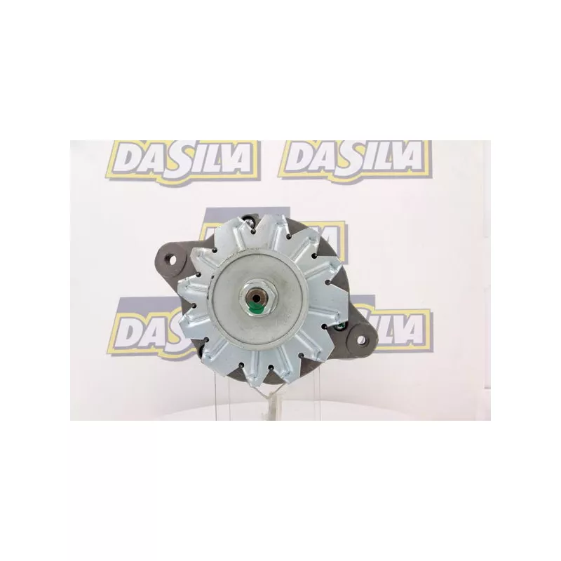 Alternateur DA SILVA 030216 - Visuel 1