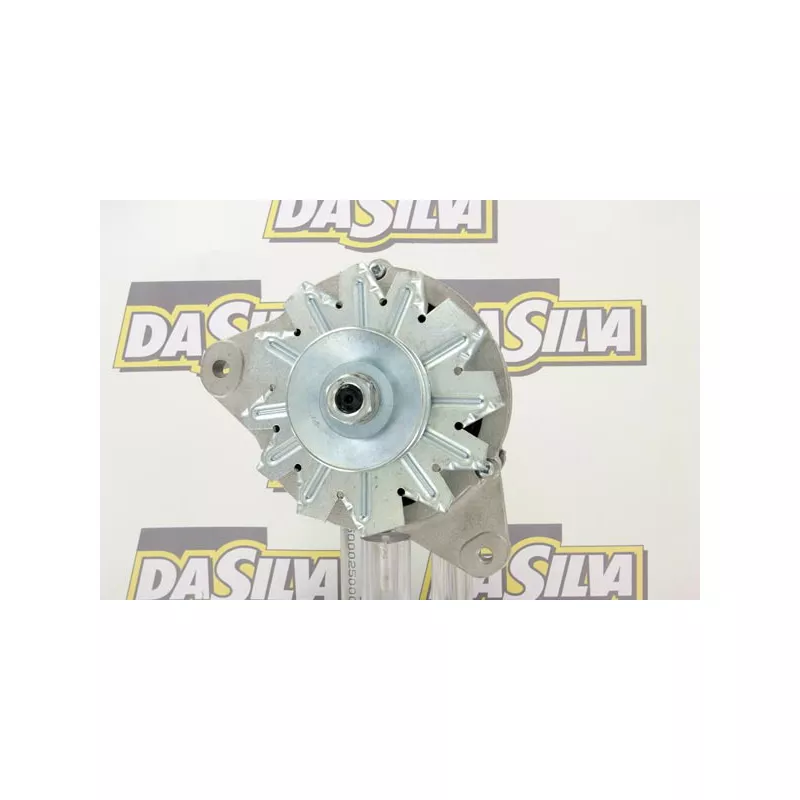 Alternateur DA SILVA 030218 - Visuel 2