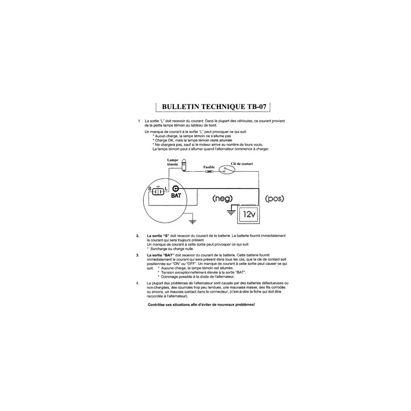 Alternateur DA SILVA 030308 - Visuel 2