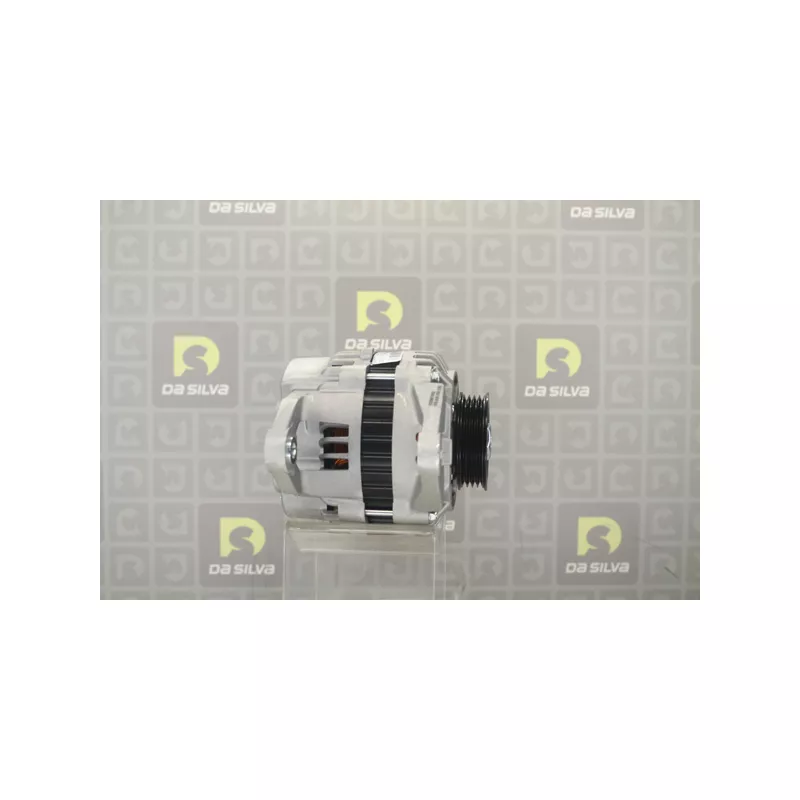 Alternateur DA SILVA 030317 - Visuel 1
