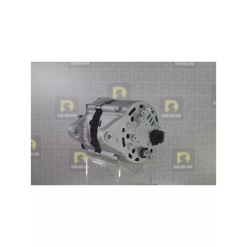 Alternateur DA SILVA 030409 - Visuel 1