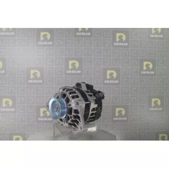 Alternateur DA SILVA 030612
