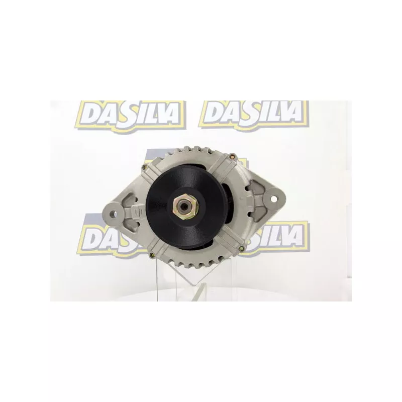 Alternateur DA SILVA 030802 - Visuel 2