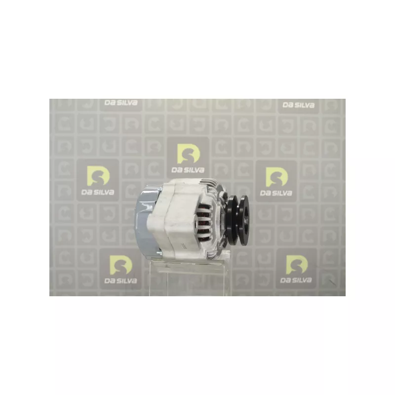 Alternateur DA SILVA 030808 - Visuel 1