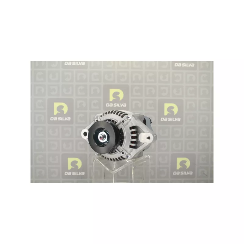Alternateur DA SILVA 030808 - Visuel 2