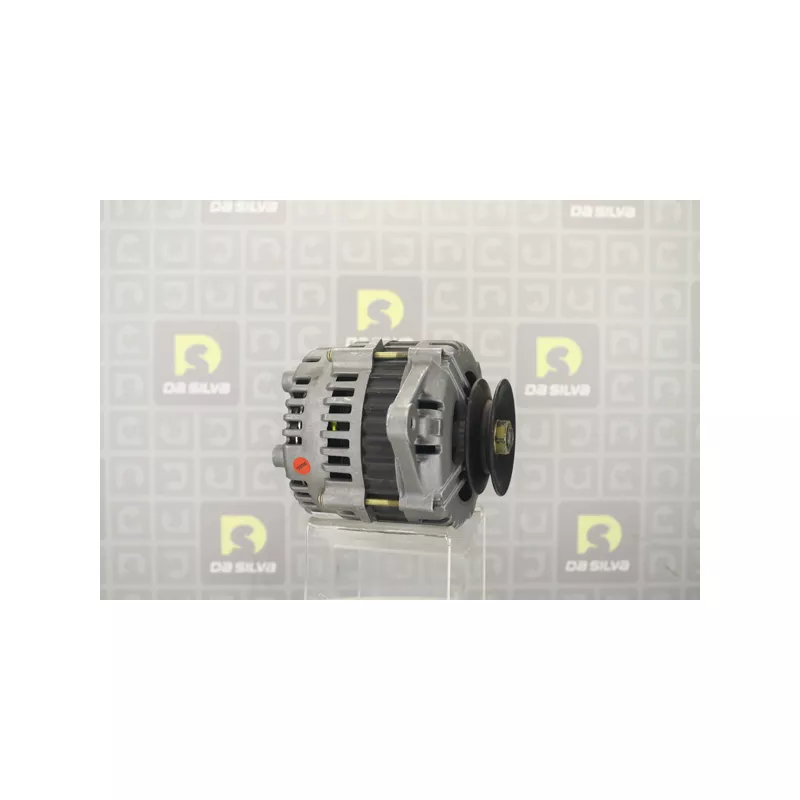 Alternateur DA SILVA 030892 - Visuel 1