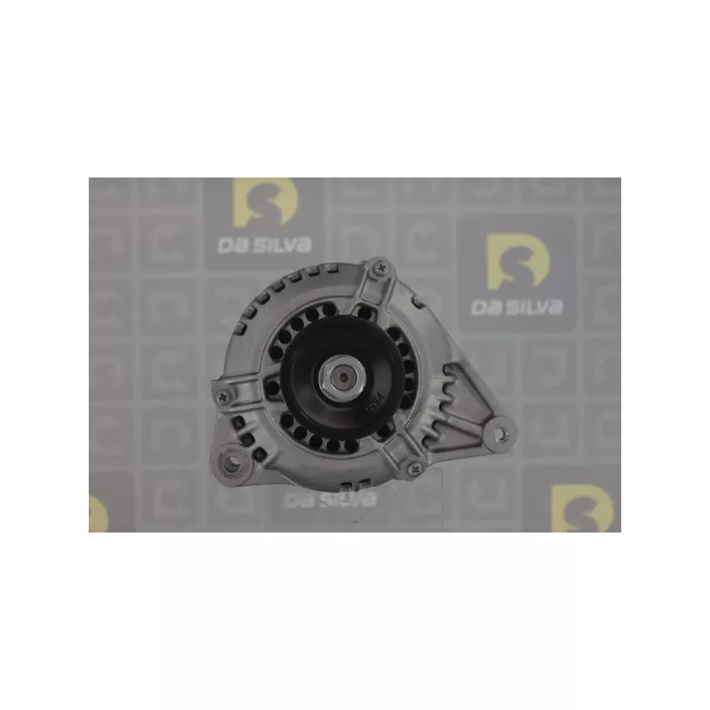 Alternateur DA SILVA 030900 - Visuel 1