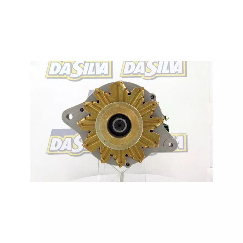 Alternateur DA SILVA 030910 - Visuel 1